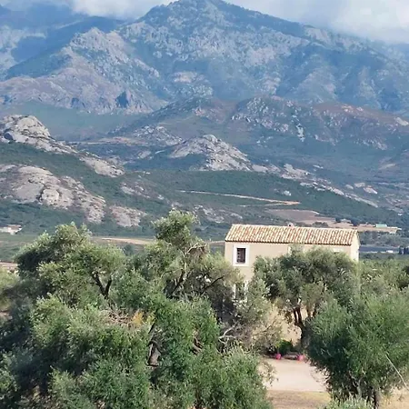 1st Floor In 18th Century Character House 別荘