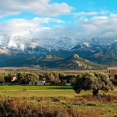 1st Floor In 18th Century Character House