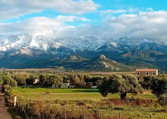 1st Floor In 18th Century Character House